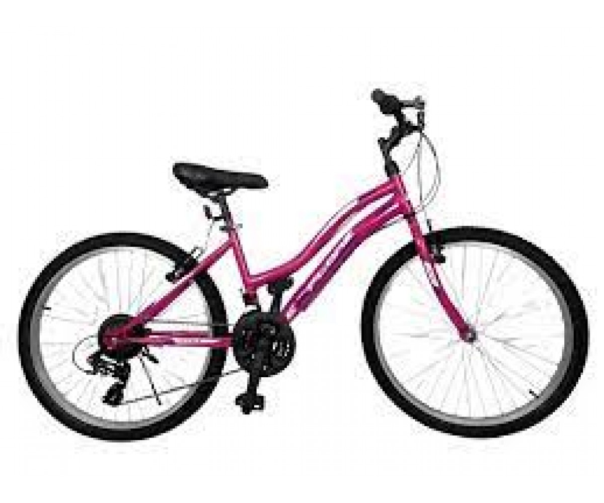 Ümit 24 J 2434 Explorer 21 Vites Kadın Dağ Bisikleti