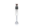Arnica Gh21580/81 Panna Çubuk Blender Beyaz